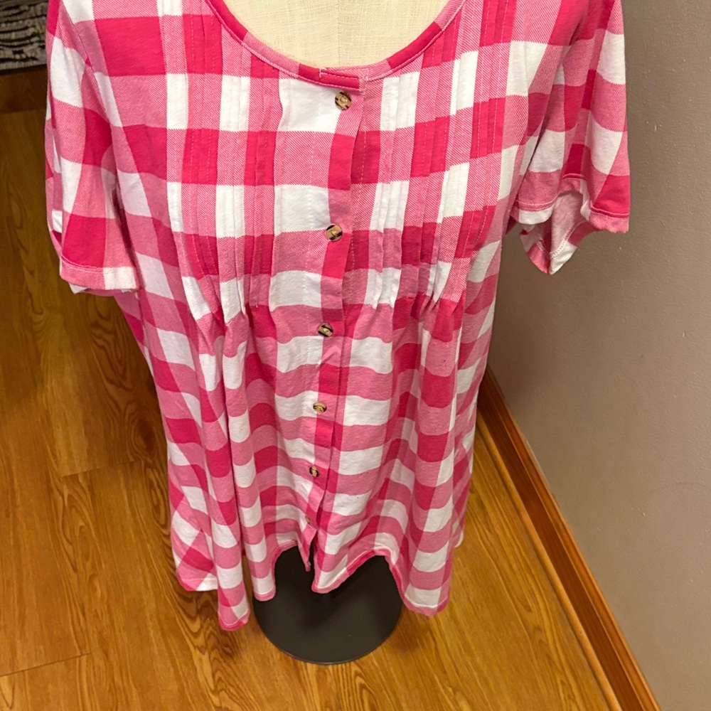 Woman Within Pink and White Plaid Shirt